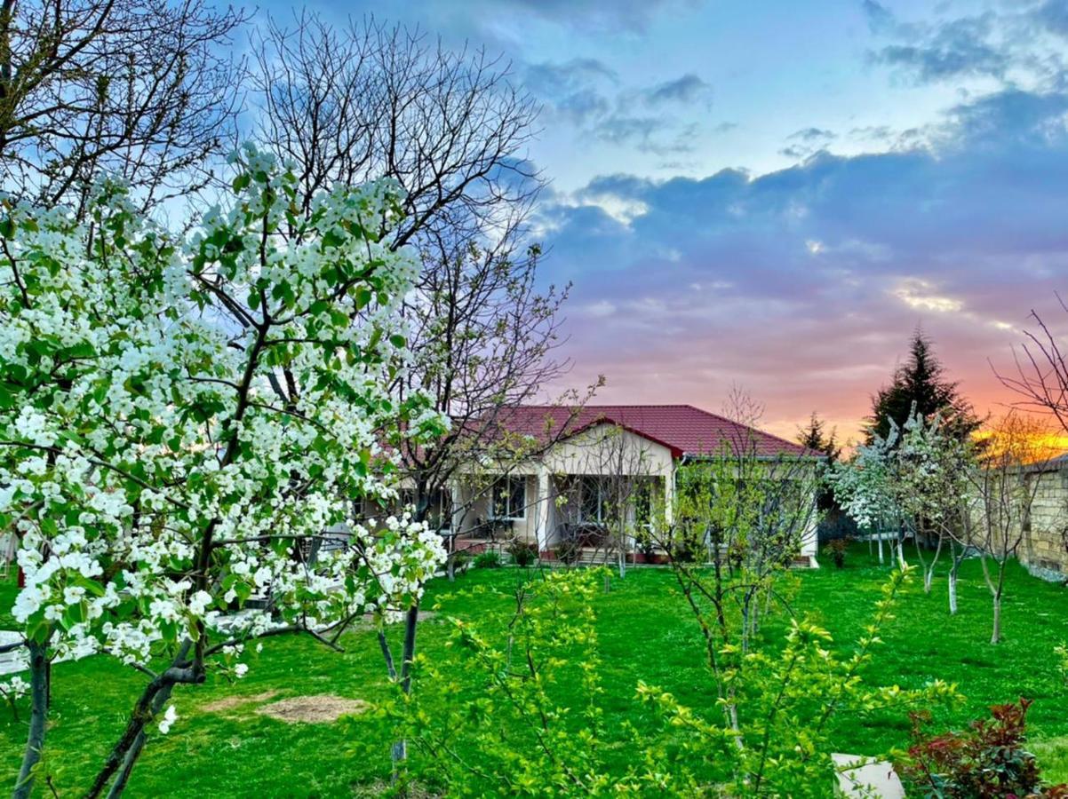 One Dom Cottage Gabala Exterior photo