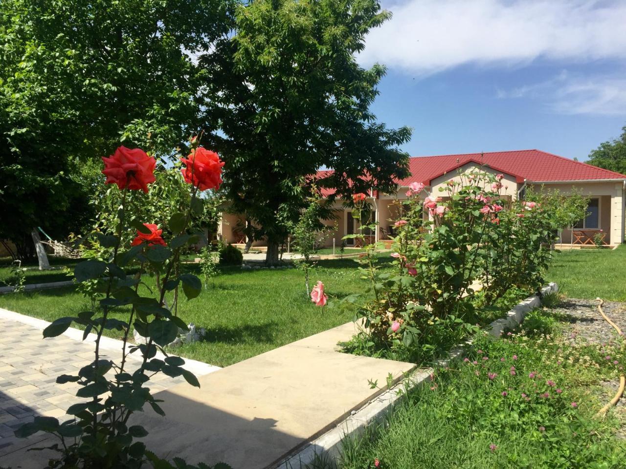 One Dom Cottage Gabala Exterior photo