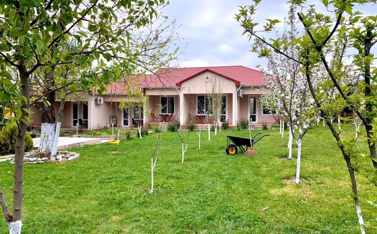 One Dom Cottage Gabala Exterior photo